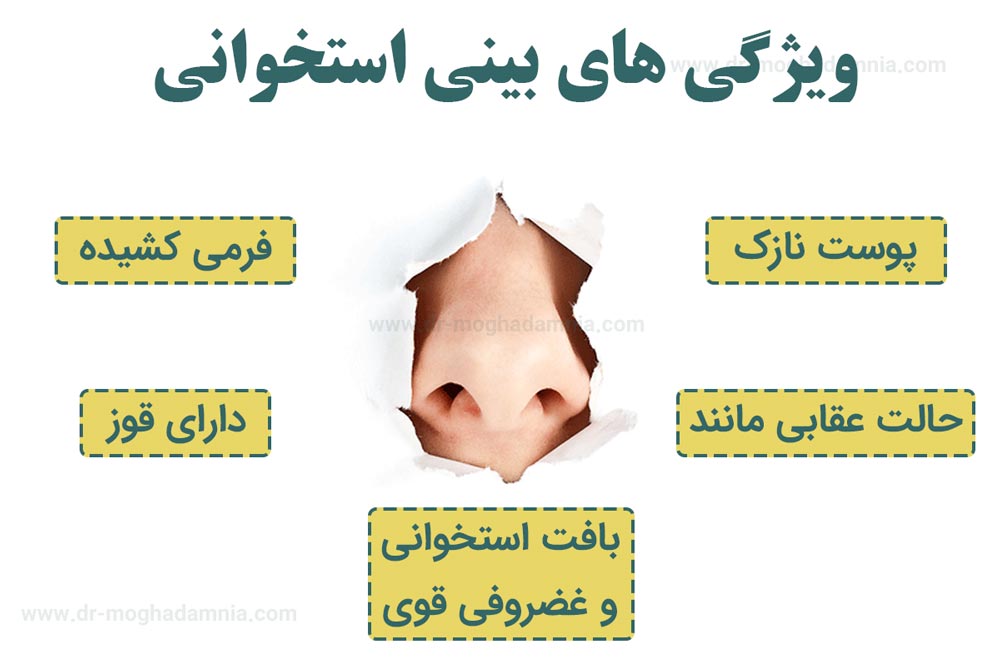 ویژگی های بینی استخوانی